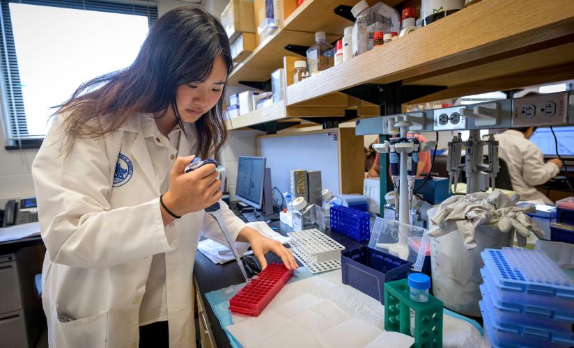 Anna Liu '25 working in lab at Massachusetts General Hospital