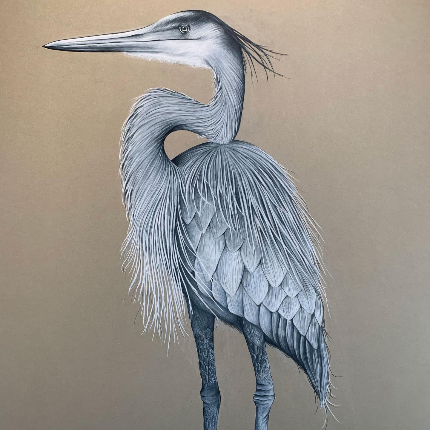 Heron detail