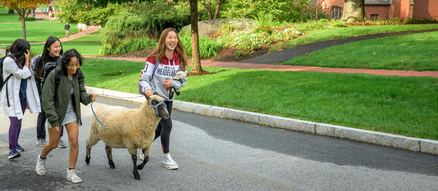 Students with a sheep at Blessing of the Animals 2024